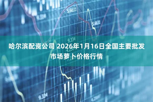 哈尔滨配资公司 2026年1月16日全国主要批发市场萝卜价格行情